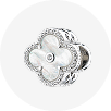 Silver Charms