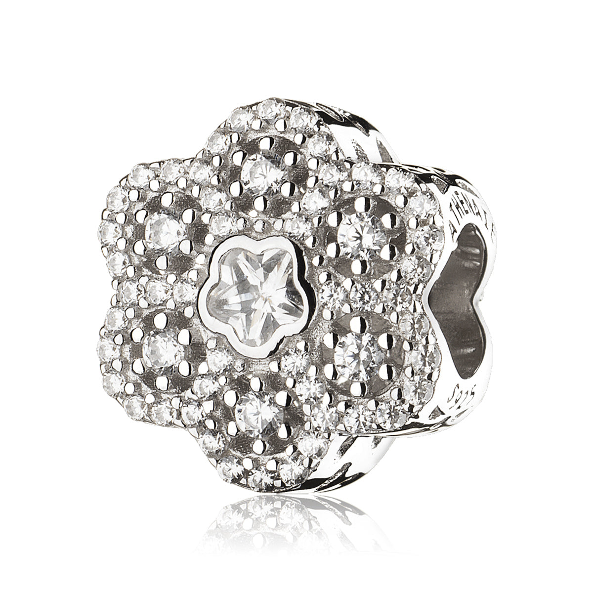 Snowflake Petite Charm