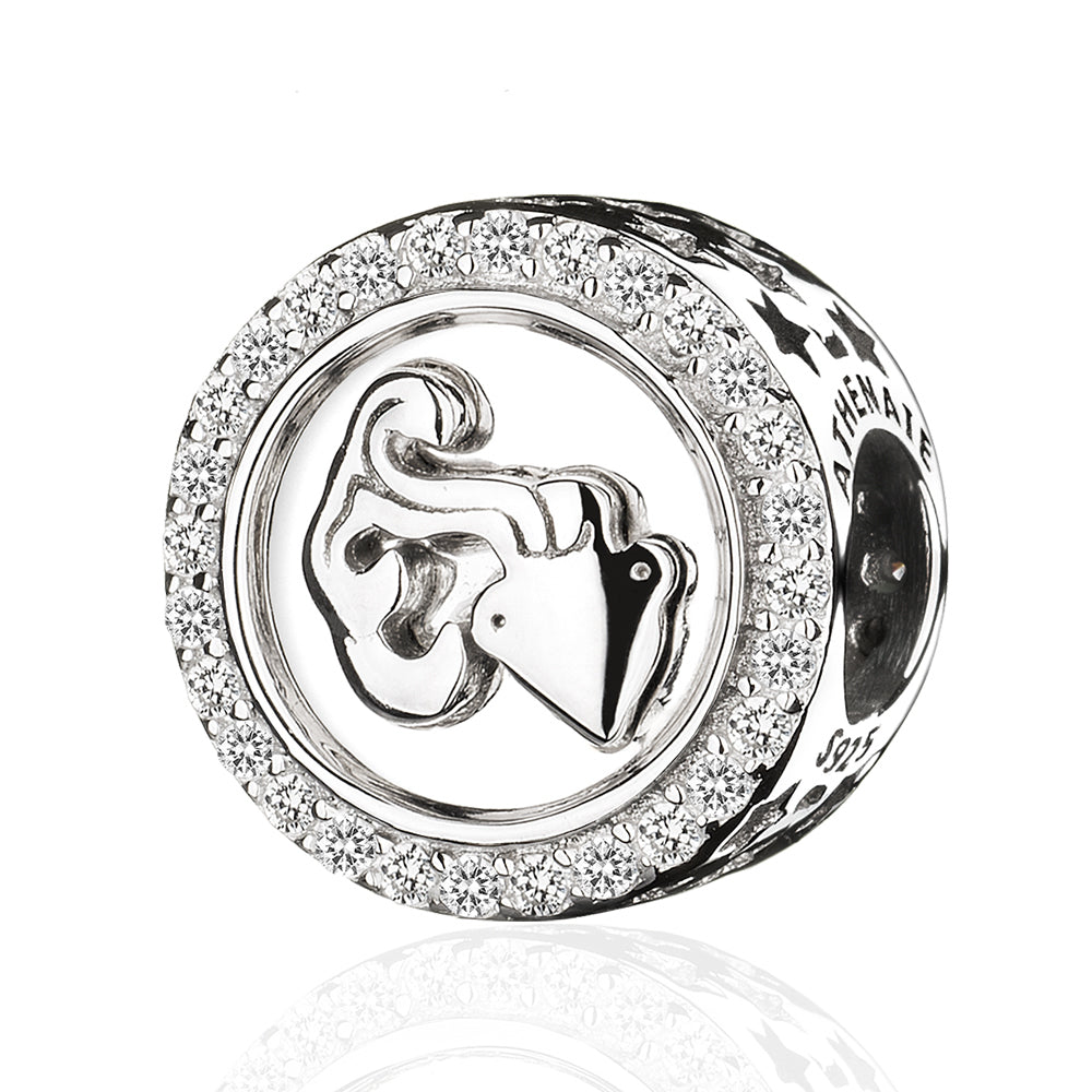 Classic 12 Constellations Charms