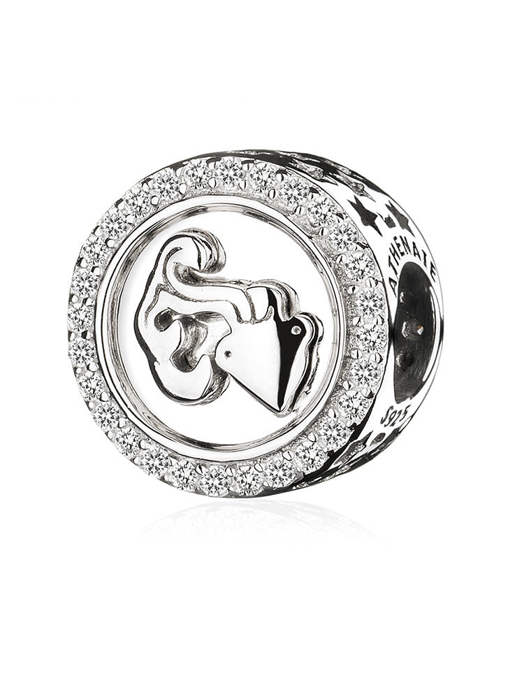 Classic 12 Constellations Charms