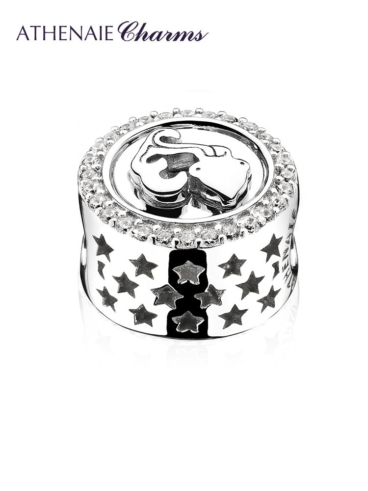 Classic 12 Constellations Charms