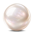 Shell Pearl