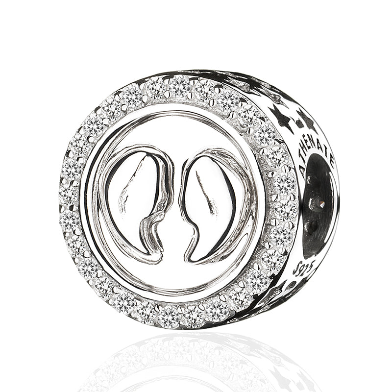 Classic 12 Constellations Charms