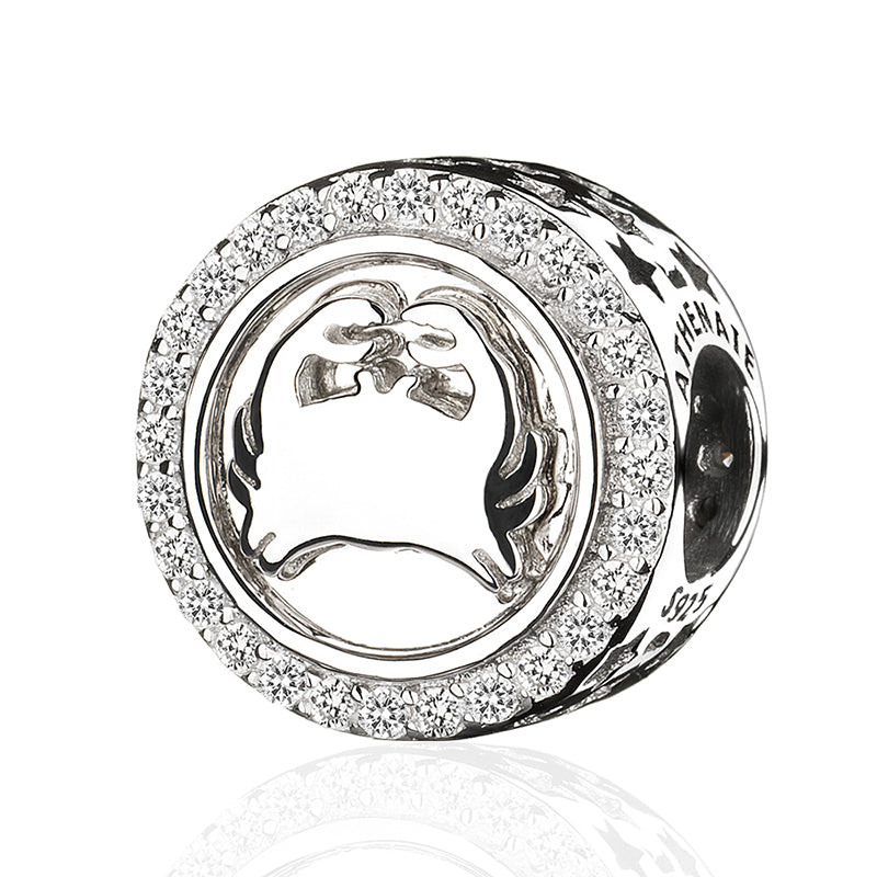 Classic 12 Constellations Charms