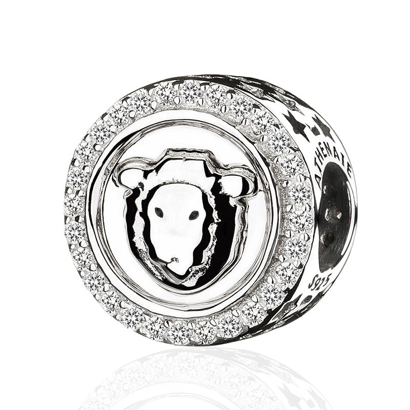 Classic 12 Constellations Charms