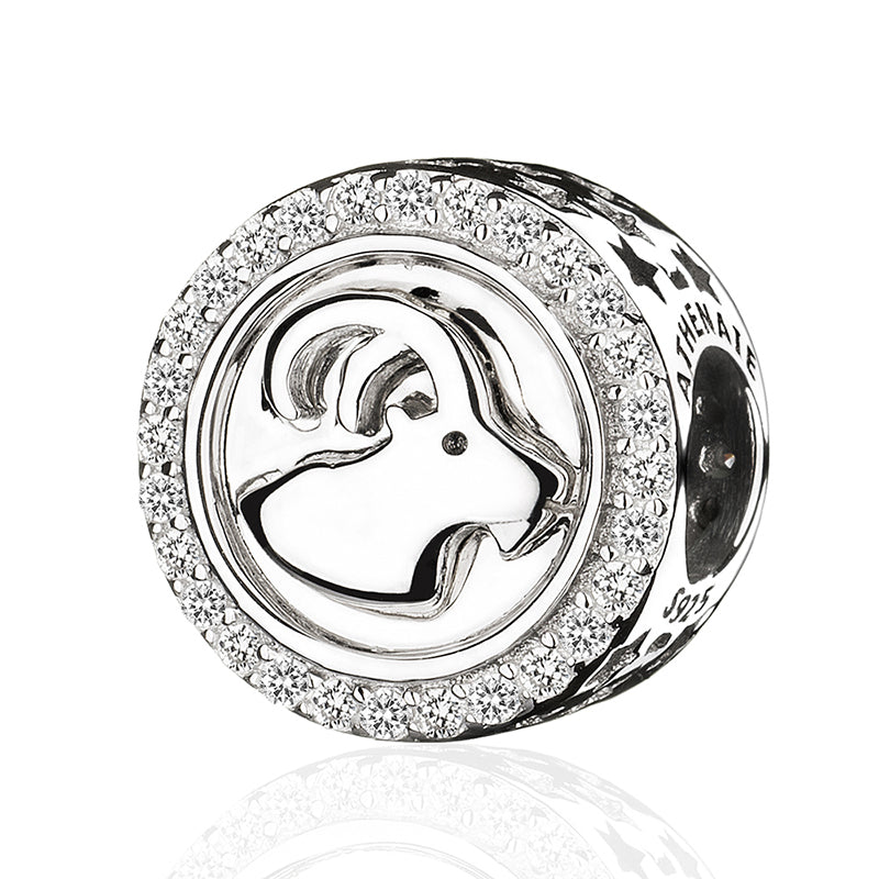 Classic 12 Constellations Charms