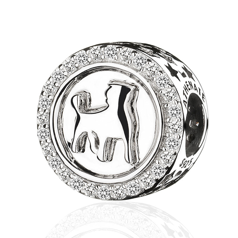 Classic 12 Constellations Charms