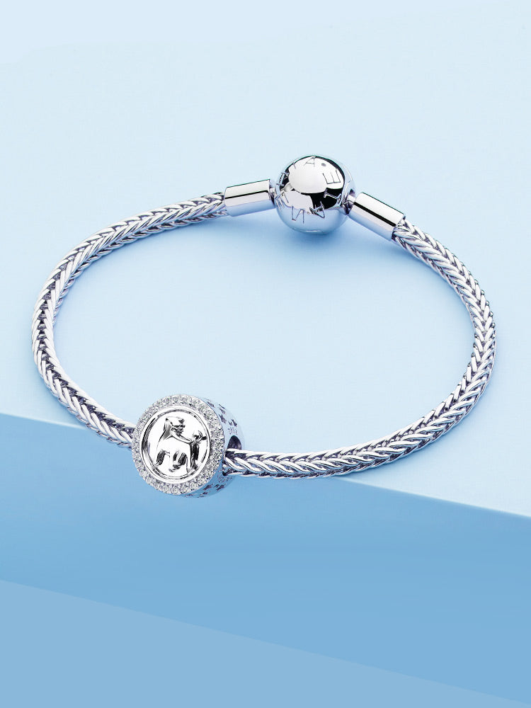 Zodiac sign sterling silver charms styled on bracelet