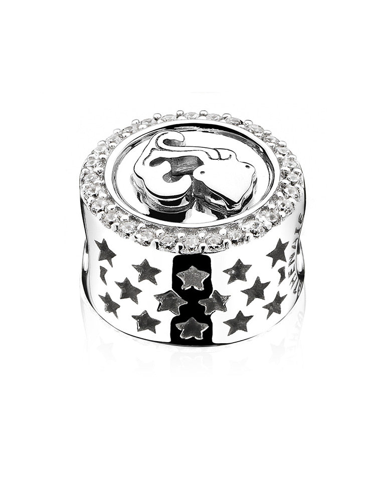 Sterling silver zodiac sign charms flat lay showing all horoscope symbols