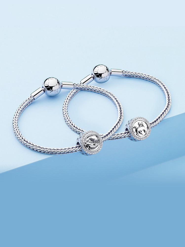 Sterling silver zodiac charms compatible with charm bracelets